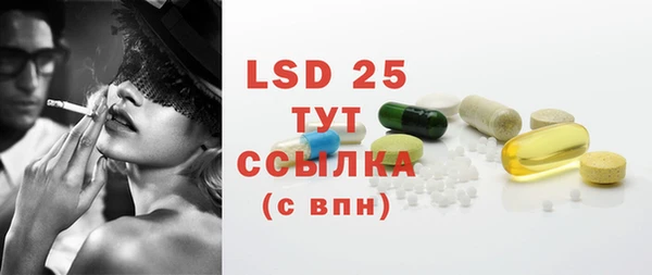 PSILOCYBIN Алексеевка